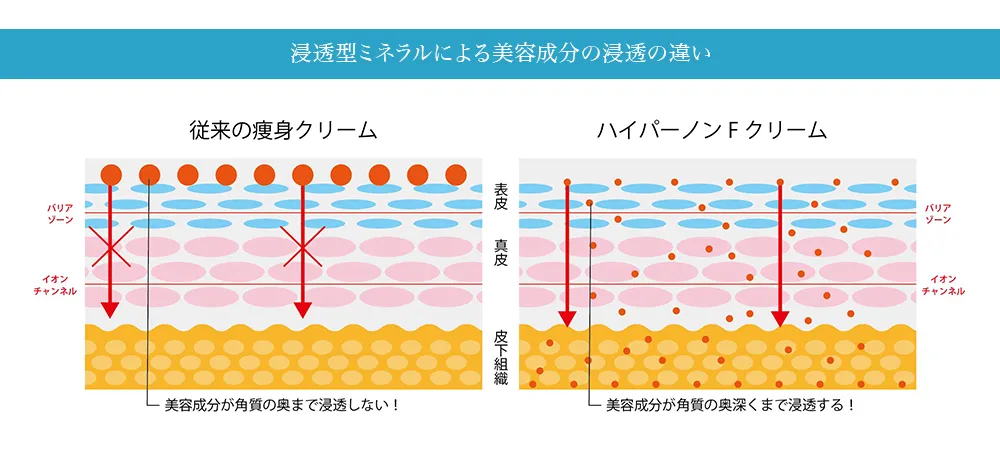 浸透型ミネラルによる美容成分の浸透の違い