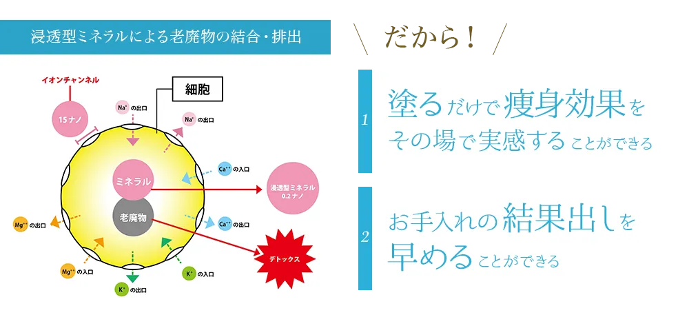 浸透型ミネラルによる老廃物の結合・排出 だから!塗るだけで痩身効果をその場で実感することができる お手入れの結果出しを早めることができる