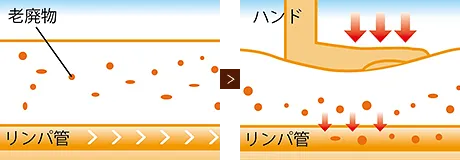 デトックス効果