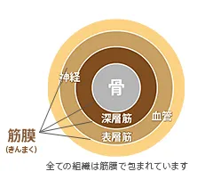 筋膜リリースについて