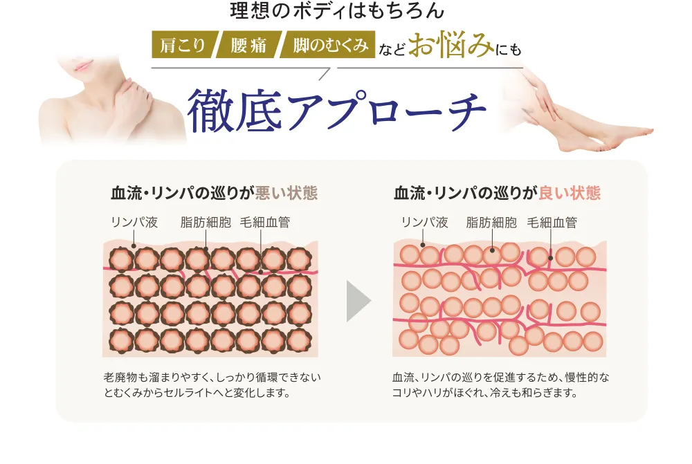 血流・リンパの巡りが悪い状態と良い状態を比較