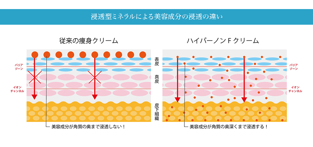 浸透型ミネラルによる美容成分の浸透の違い