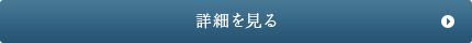 詳細を見る