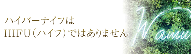 偽物、類似品について