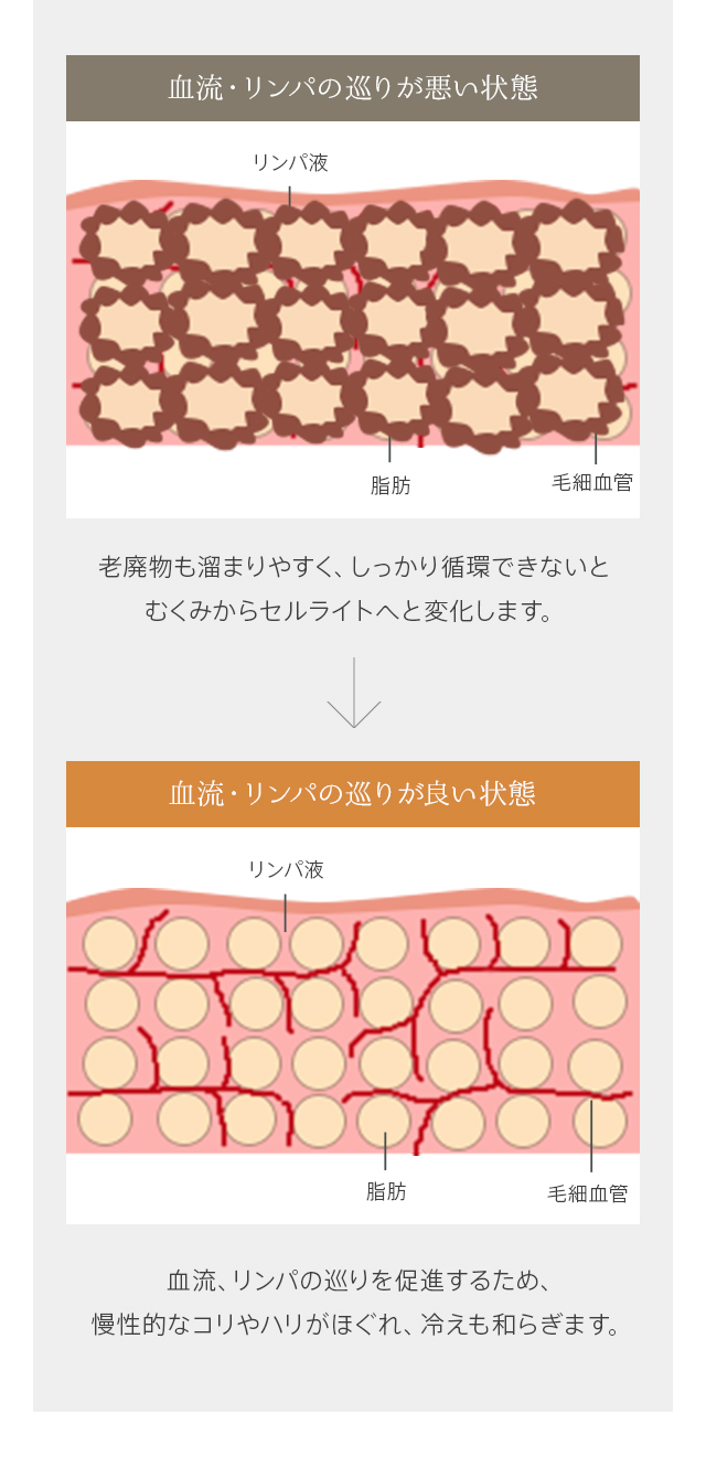 血流・リンパの巡りが悪い状態と良い状態を比較