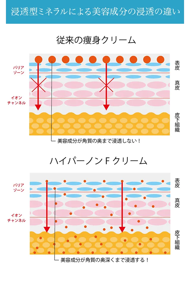 ハイパーノンFクリーム　残り2点 株式会社ワムのハイパーノンエフクリーム