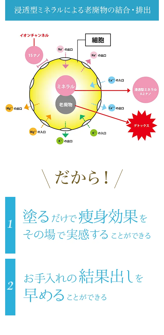 新品未使用 正規品 ワム ハイパーノンエフクリーム[2本セット] ワム】ハイパーノンFクリーム 230g | ダイエット専門商品サイト SLIMPRO