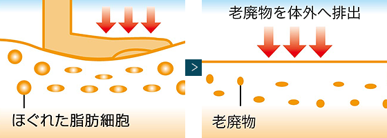 痩身効果