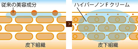 株式会社ワムのハイパーノンエフクリーム