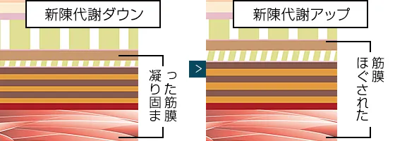株式会社ワムのハイパーノンエフクリーム