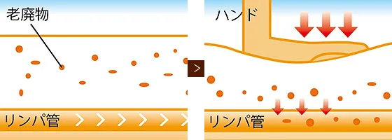 株式会社ワムのハイパーノンエフクリーム