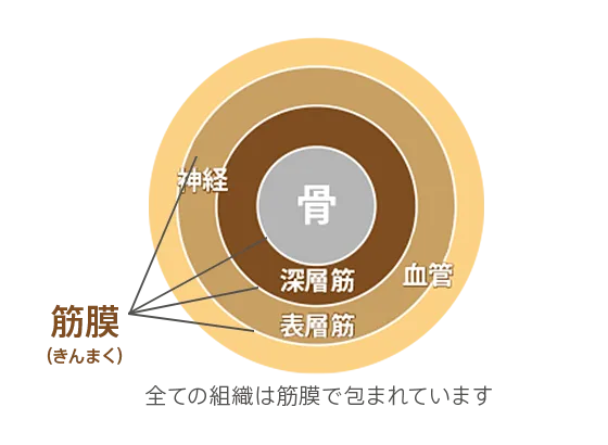 筋膜リリースについて