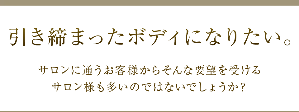 正規品ハイパーウェーブＥＭＳ★ワム 株式会社ワムのハイパーウェーブ®（QI波マシン）